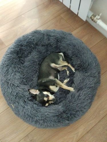 Customer photo review of Comfy Pet Bed Calming High Stretch Soft Faux Fur for Dogs Cats