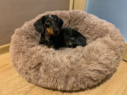Customer photo review of Comfy Pet Bed Calming High Stretch Soft Faux Fur for Dogs Cats