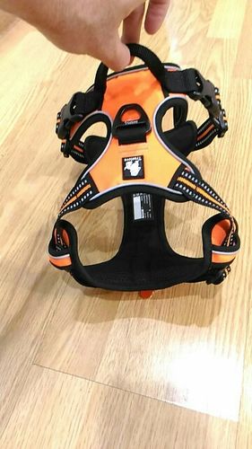 MyTribalDog Reviews - 157 Reviews | www.mytribaldog.com