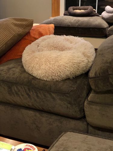 Customer photo review of Comfy Pet Bed Calming High Stretch Soft Faux Fur for Dogs Cats