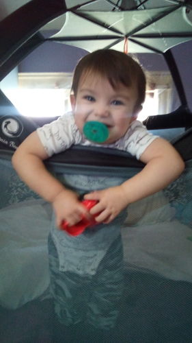 Customer photo review of Pop N' Go® Playpen