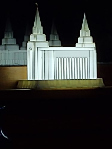Customer photo review of Kansas City Missouri Temple Night Light