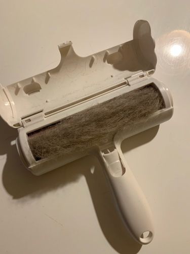 Customer photo review of Lint Eraser