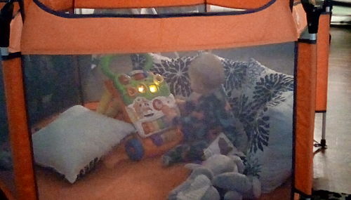 Customer photo review of Pop N' Go® Playpen
