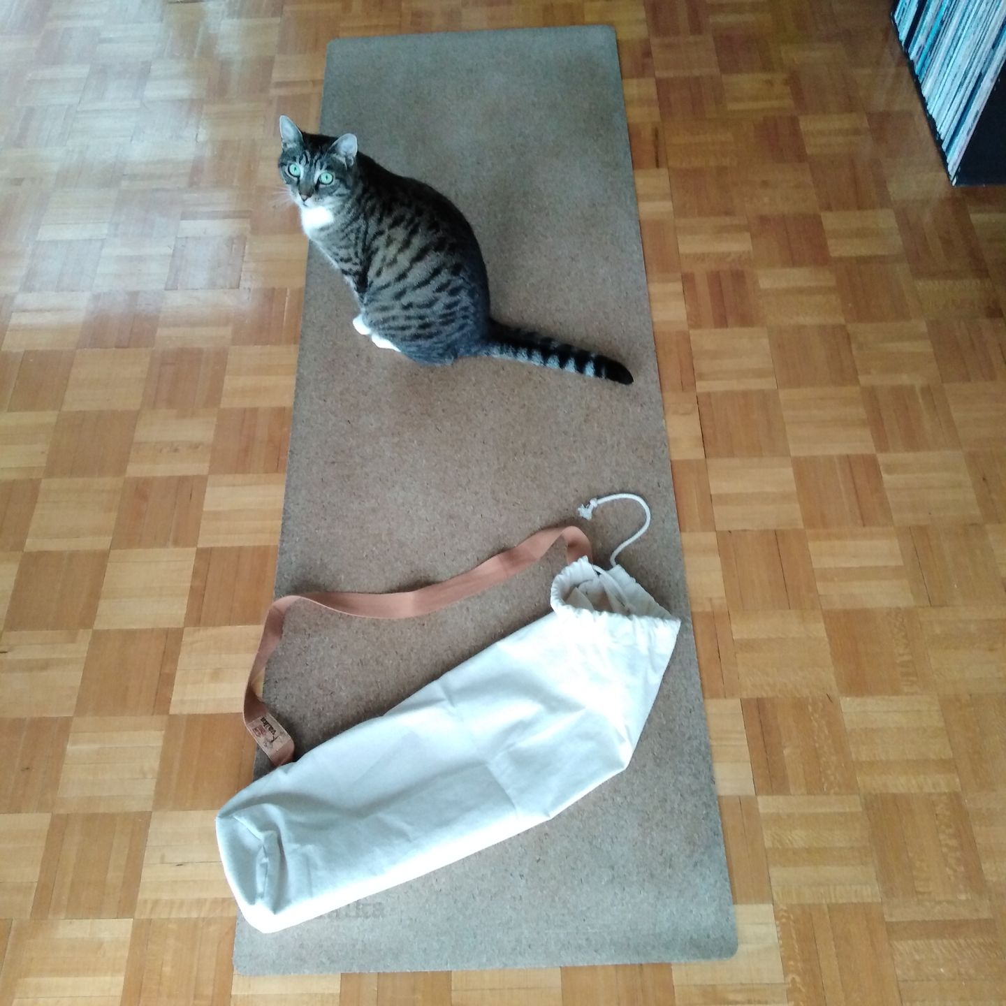 Customer photo review of Premium Yoga Mat