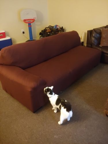 Customer photo review of IB™ Stretchable Elastic Sofa Covers