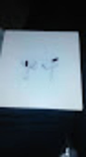 Customer photo review of White Pro