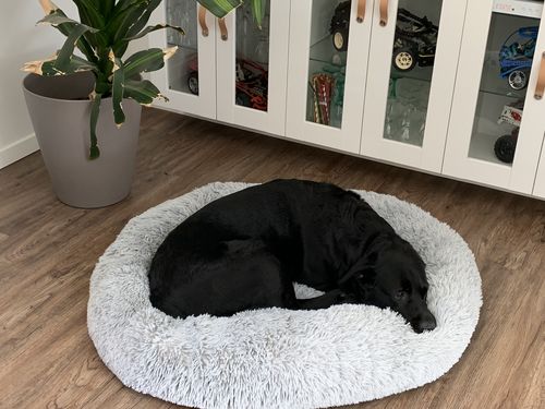 Customer photo review of Lit Apaisant Comfy® |  Pour Chien et Chat