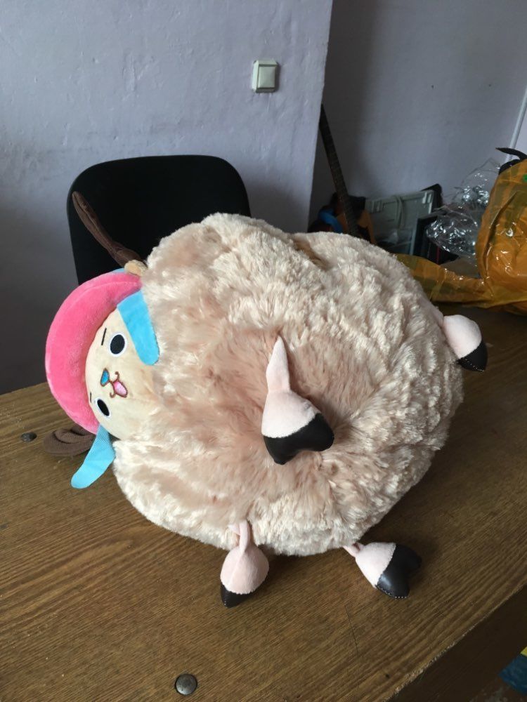 Customer photo review of Chopper Guard Point - Plush Doll
