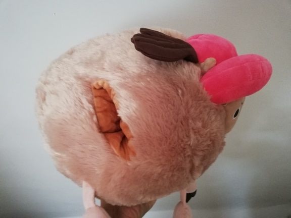 Customer photo review of Chopper Guard Point - Plush Doll