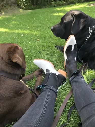 Customer photo review of No.1001 FREEWAY chelsea boot Black + White Fur WOMEN