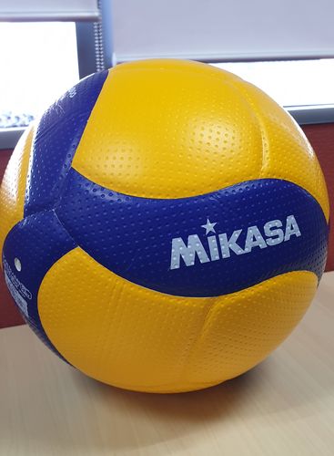 Customer photo review of Mikasa MIK-V300W