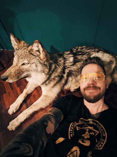 Customer photo review of Montana - Yellow Gradient