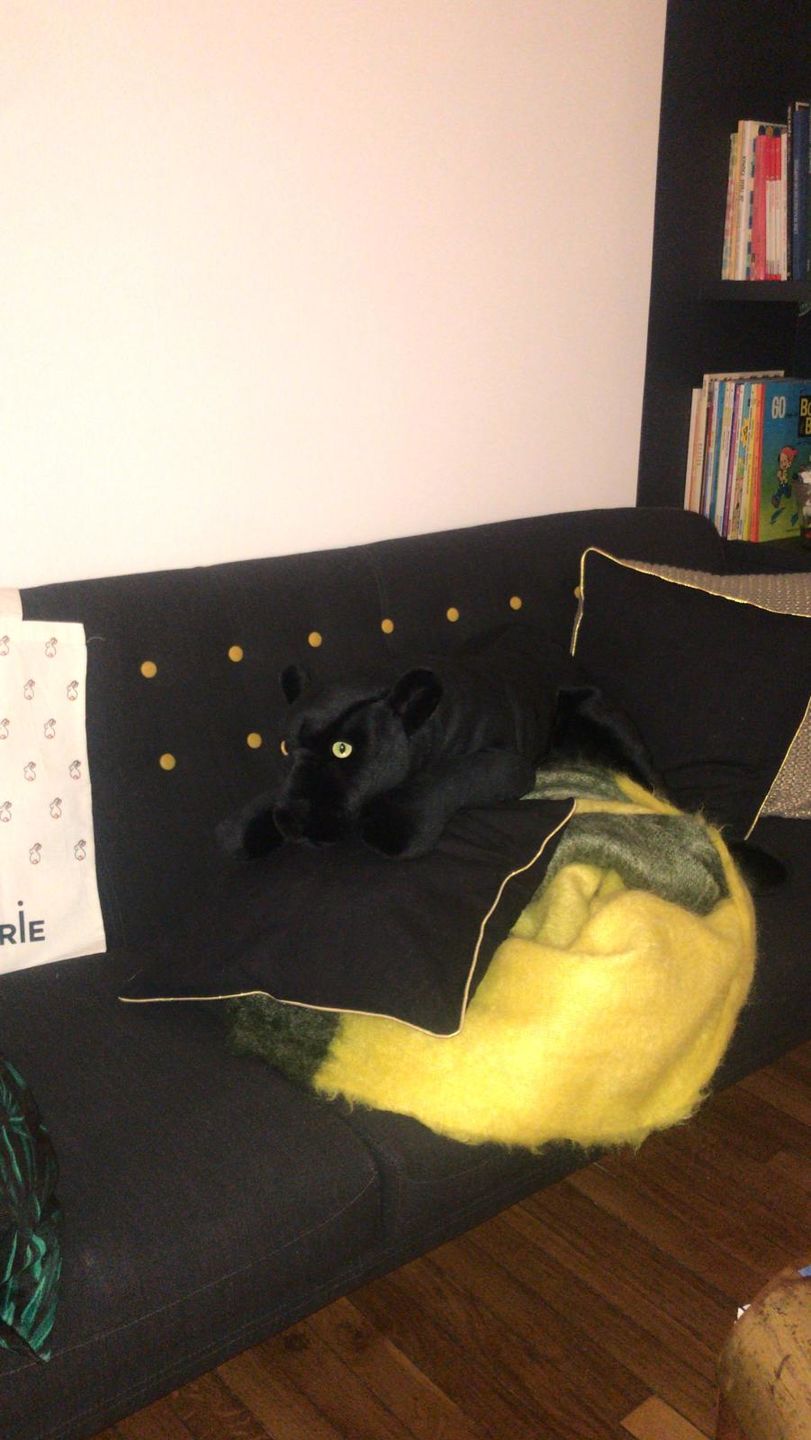 Customer photo review of Ma panthère Zélie