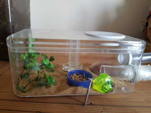 Customer photo review of AntKit Water Feeder