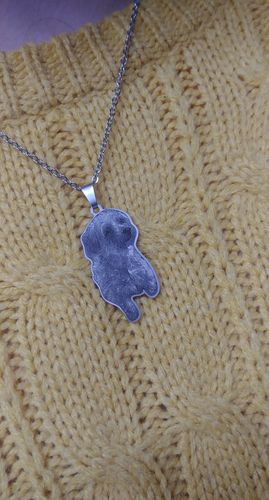 Customer photo review of Silvercut™ Necklace