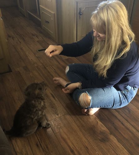 zuke's puppy naturals