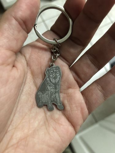 Customer photo review of Silvercut™ Keychain