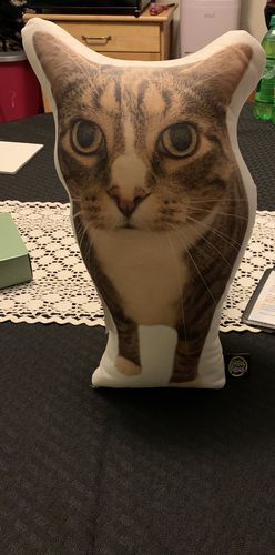 Customer photo review of Custom Cat Pillow