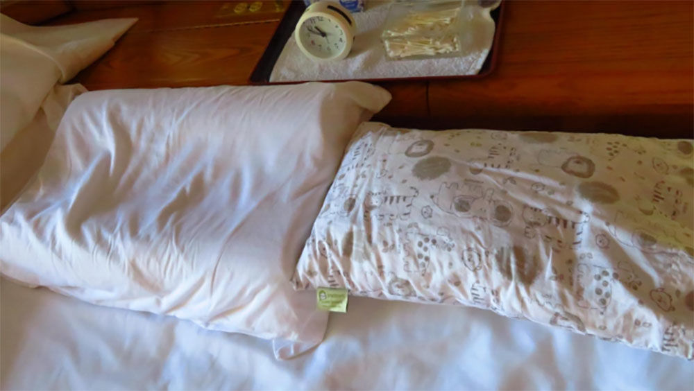 Customer photo review of Toddler Pillow with Cute Pillowcase