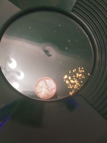 Customer photo review of *New* MAMMOTH 'TROY OUNCE NUGGET HUNT' Gold Paydirt - Gold Paydirt Concentrate