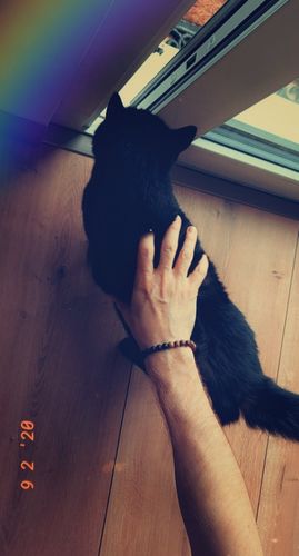 Customer photo review of Zedernholz Armband