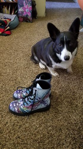 Customer photo review of SIZE 9.5 WOMENS - ABSTRACT DRAGONFLY BOOTS - CLEARANCE