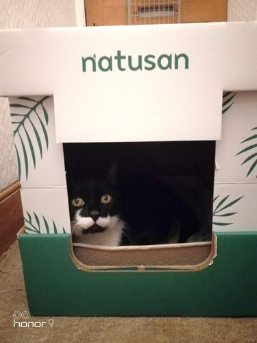 Customer photo review of Collect & Compost Service with Kit