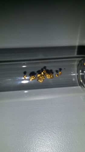 Customer photo review of *BOGO*: MAMMOTH 'TROY OUNCE NUGGET HUNT' Gold Paydirt - Gold Paydirt Concentrate