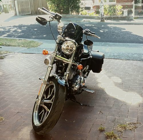 Customer photo review of Harley-Davidson XL Sportster - Piranha