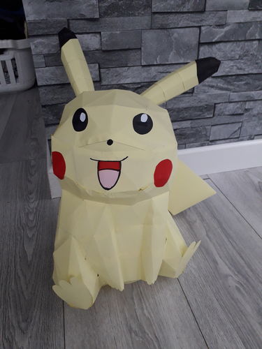 Customer photo review of Pikachu