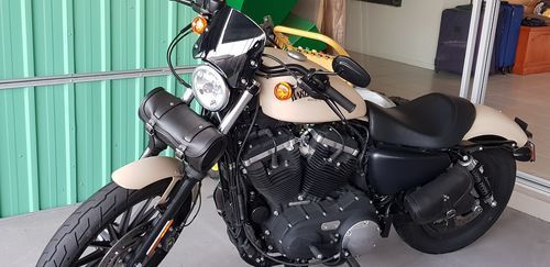 Customer photo review of Harley-Davidson XL Sportster - Piranha