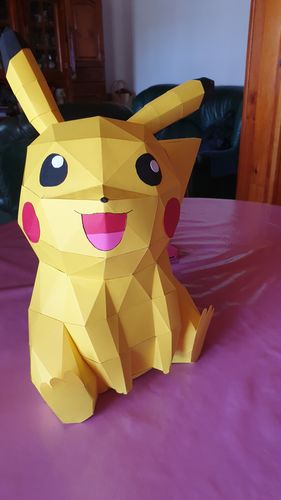 Customer photo review of Pikachu