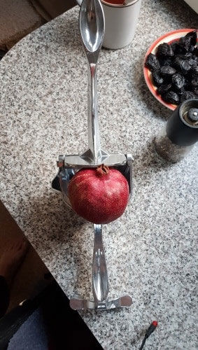 Customer photo review of Sofruiti™ | Presse fruit