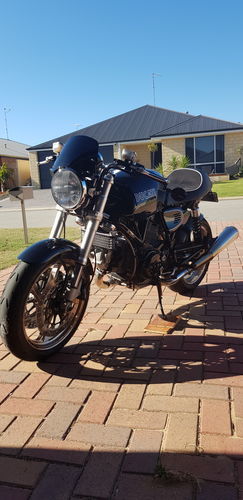 Customer photo review of Flyscreen - Piranha