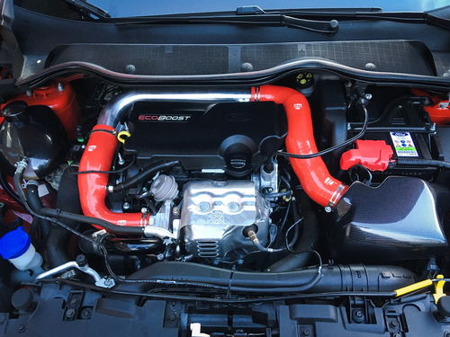 Customer photo review of Proform Airbox Cover (various colours) - Mk8 Ford Fiesta ST
