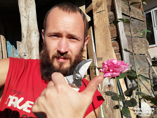 Customer photo review of Garden Scissors Pruning Shears Secateurs Gardening Tools
