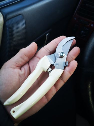 Customer photo review of Garden Scissors Pruning Shears Secateurs Gardening Tools