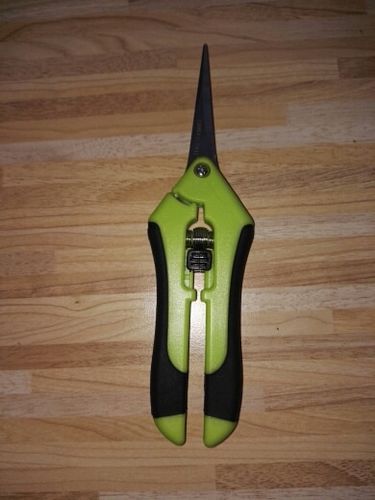 Customer photo review of Stainless Steel Pruning Shears Scissors Gardening Tools