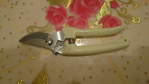 Customer photo review of Garden Scissors Pruning Shears Secateurs Gardening Tools