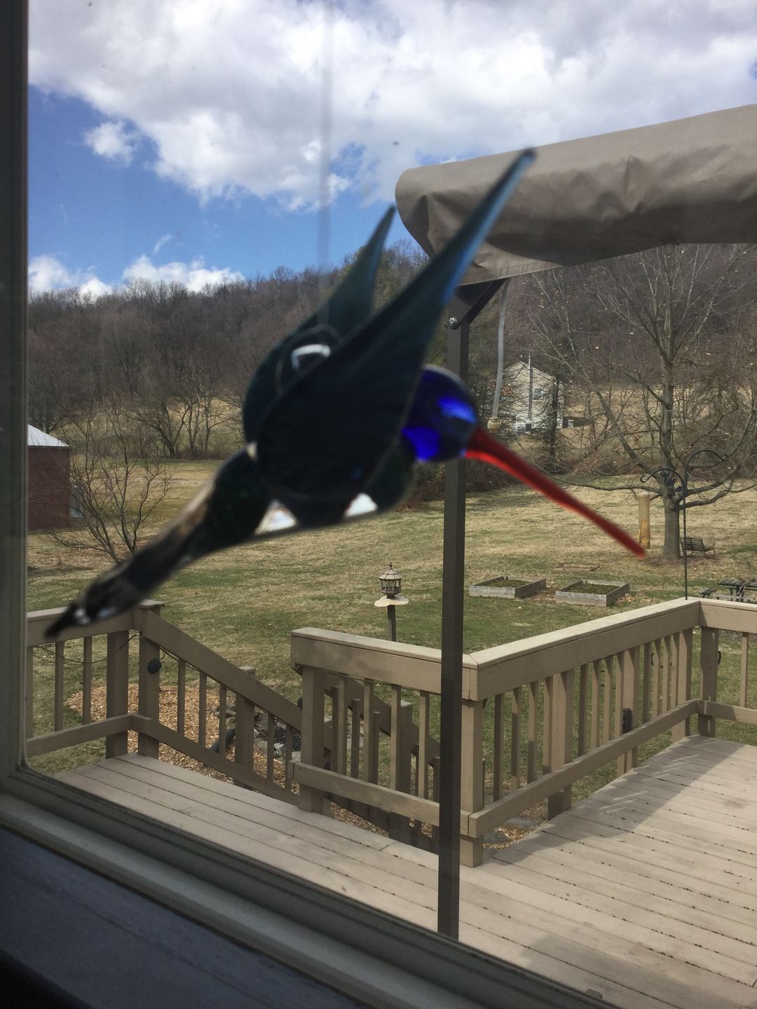 Customer photo review of Dichroic Twist Glass Hummingbird with Infused Ash