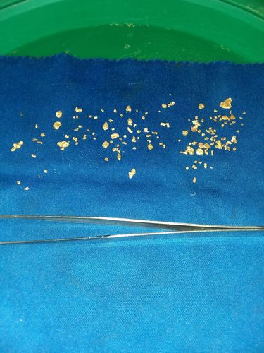 Customer photo review of '$150 NUGGET RUSH' Gold Paydirt - *1 in 3 Bags Contains a Nugget Valued $150* - Jackpot Paydirt