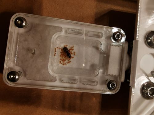 Customer photo review of AntKit Acrylic Nest Series 4 (Size 1)