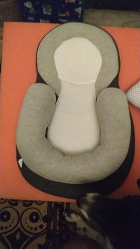 Customer photo review of BabyMello™ Sleepy Baby Bed