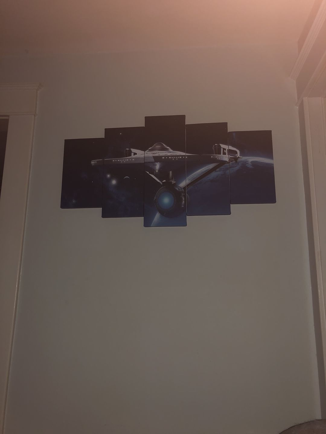 Customer photo review of Enterprise Wall Art