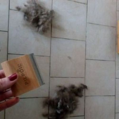 Customer photo review of Brosse Anti-Poils Chien, Chat, Cheval, Lapin | Original | Pilpoil®