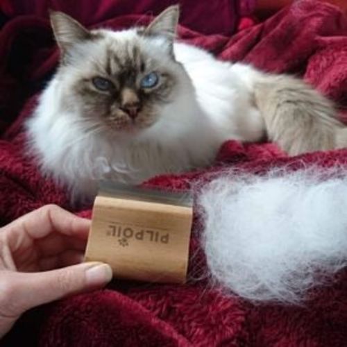 Customer photo review of Brosse Anti-Poils Chien, Chat, Cheval, Lapin | Original | Pilpoil®