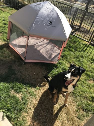Customer photo review of Pop N' Go® Playpen