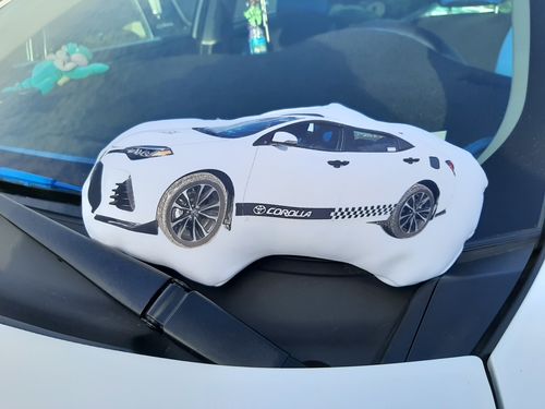 Customer photo review of Create A Custom Car Pillow