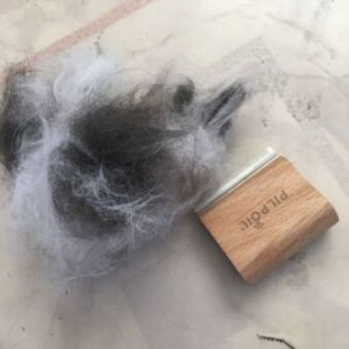 Customer photo review of Brosse Anti-Poils Chien, Chat, Cheval, Lapin | Original | Pilpoil®